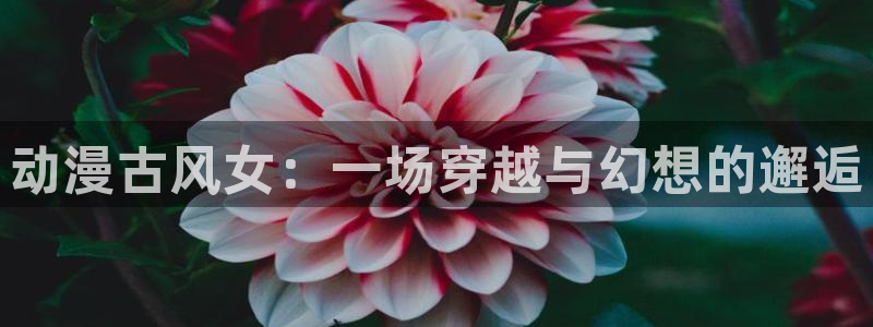 动漫天堂免费在线观看