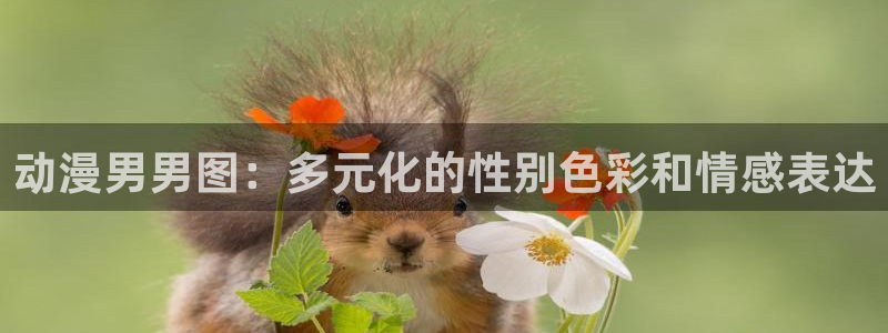 www.动漫天堂