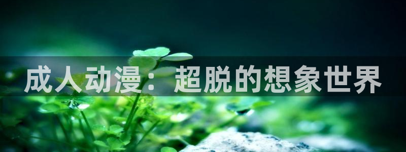 动漫天堂.cc