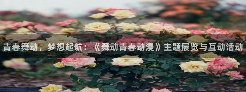原神动漫天堂免费入口