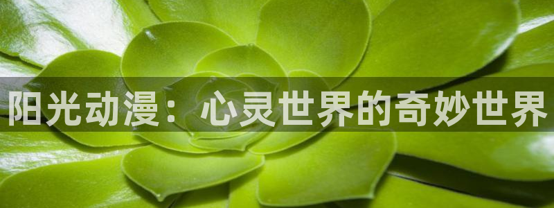 bt动漫天堂：阳光动漫：心灵世界的奇妙世界