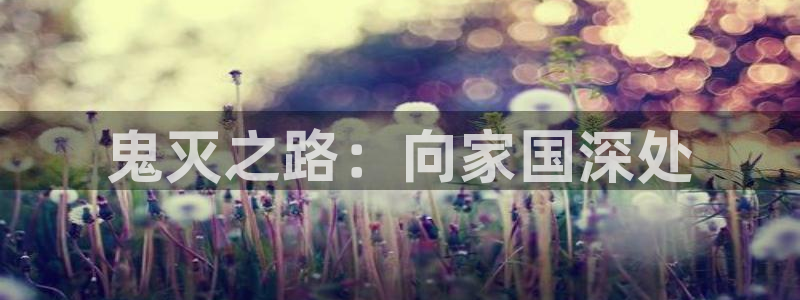 动漫天堂免费版：鬼灭之路：向家国深处