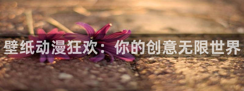 动漫天堂官网：壁纸动漫狂欢：你的创意无限世界