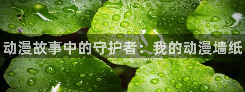动漫天堂cc：动漫故事中的守护者：我的动漫墙纸